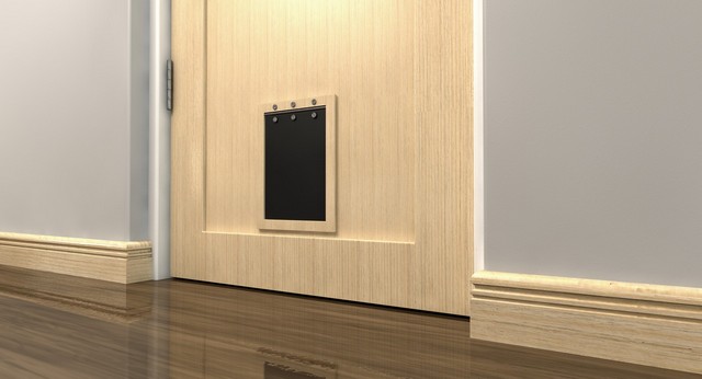 Cat Flap Installation Borehamwood, Elstree, Well End, WD6