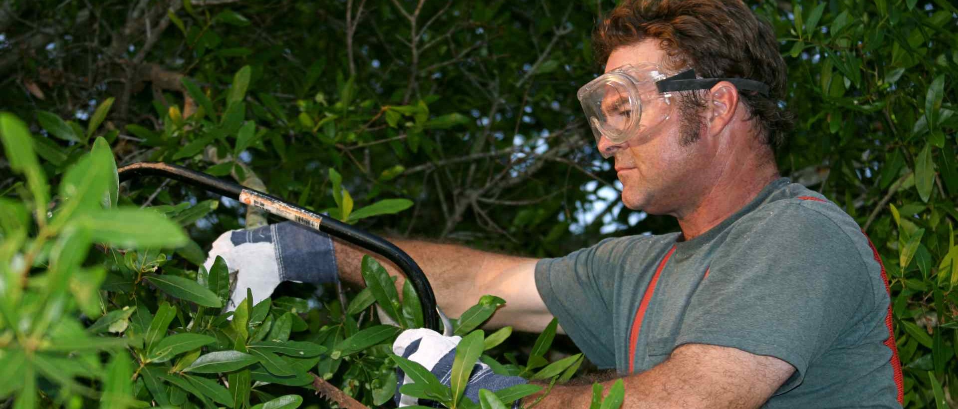 garden clearance WD6