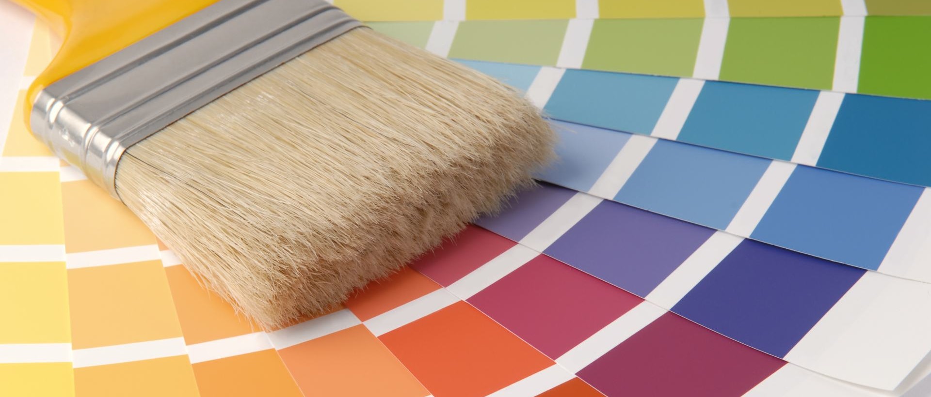 Painter WD6